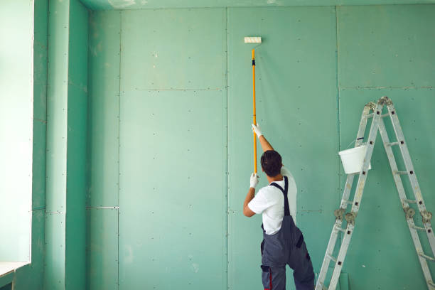 Trusted Talent, OR Mold Removal Experts