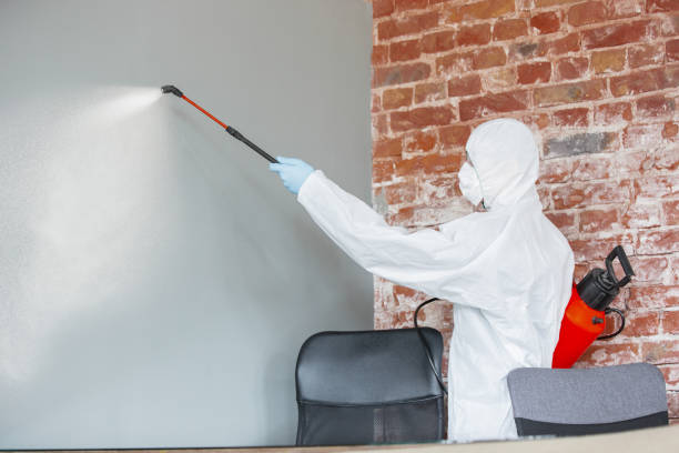 Best Post-Remediation Verification Testing  in Talent, OR