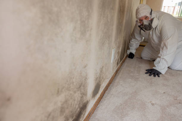 Best Real Estate Mold Inspection  in Talent, OR